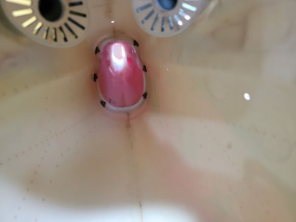 Chapter 4: Fuselage