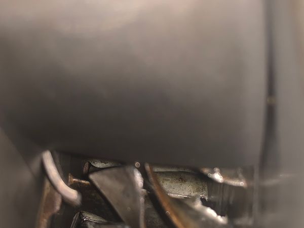 Chapter 8: Turkey Day